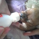 ���� �����:*, ������� ������ - ��������� 2 ���� 2012 � ������ ���� ����������