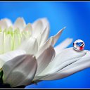 ���� ������, ������, 34 ���� - ��������� 26 ��� 2010 � ������ ����� � ��������