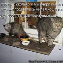 ���� �������, ������, 71 ��� - ��������� 2 ������ 2011 � ������ ���� �������� �����������