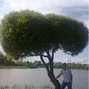 ���� �������, �����-���������, 37 ��� - ��������� 27 ��� 2012 � ������ ���� ����������