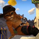 ���� ����, ��������, 50 ��� - ��������� 15 ������� 2011