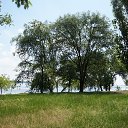 ���� Tatyana, ������, 55 ��� - ��������� 17 ��� 2013 � ������ ���������_��������� �������)�