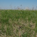 ���� �������, ���������, 43 ���� - ��������� 19 ������ 2012 � ������ �������