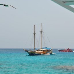 ���� ������, ������� - ��������� 21 ��� 2012