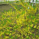 ���� ���� ����, ����������, 50 ��� - ��������� 19 ����� 2010 � ������ ������-2009�