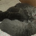 ���� ����_����� ������ ���� ���-��..., �������� - ��������� 2 ������� 2013 � ������ ���������� 02.08�