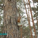 ���� �����, ����, 66 ��� - ��������� 25 ����� 2013 � ������ ���� ����������