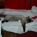 � ������ ������ ������ �� ������� ����� ��� ������������