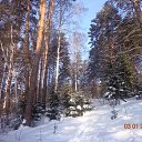 ���� �������, �������-���������, 55 ��� - ��������� 15 ������ 2013 � ������ ���� ����������