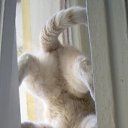 ���� �������, ������-��-����, 48 ��� - ��������� 2 ����� 2012 � ������ ���� ����������