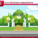 ���� ������, ��������, 49 ��� - ��������� 21 ������ 2011