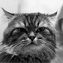 ���� �����, ������, 62 ���� - ��������� 25 ��� 2011 � ������ �������� ��������. �. ������.�