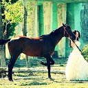 ���� ������, �����, 42 ���� - ��������� 5 ���� 2013 � ������ �krasota�