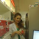 ���� �����, �����������, 38 ��� - ��������� 25 ������ 2013 � ������ ���� ����������