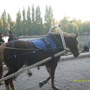 ���� ����, ������, 25 ��� - ��������� 27 ������� 2010 � ������ ������ 2010 � ���� ������ ������