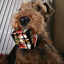 ���� �����, ������, 74 ���� - ��������� 3 ������� 2010 � ������ ���������...�