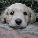 ���� Vytalii, ������ ��������, 59 ��� - ��������� 22 ������� 2010 � ������ �������!�