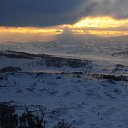 ���� ������, �������, 55 ��� - ��������� 25 ������ 2011 � ������ �������-�������. 2011�