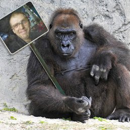 ���� ����������, ����, 48 ��� - ��������� 25 ������� 2012