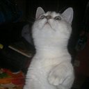 ���� ����, �������, 39 ��� - ��������� 9 ������� 2010 � ������ ���� ���� :)�