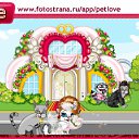  , , 26  -  7  2010   PetLove