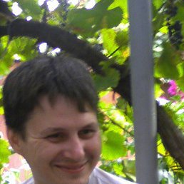 ���� �������, 51 ���, �������