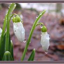  , --, 57  -  18  2013    