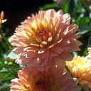 ���� ����� - ���������� ��������!!!, �����������, 56 ��� - ��������� 11 ������ 2010 � ������ ����������