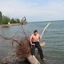 ���� �������, ������, 43 ���� - ��������� 23 ���� 2010