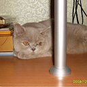 ���� �����, ������, 58 ��� - ��������� 3 ������� 2009 � ������ ������