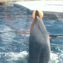 ���� ������, ���������, 41 ��� - ��������� 13 ���� 2011 � ������ ��������� �� ������