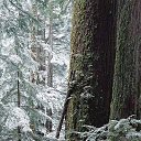 ���� �����, ����� - ��������� 29 ������ 2013 � ������ ���ѻ