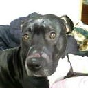 ���� �����, ��������, 43 ���� - ��������� 30 ������� 2011 � ������ ���� ����������