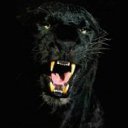 ���� Donish, ������, 47 ��� - ��������� 29 ����� 2012 � ������ ���� ����������