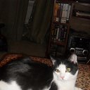 ���� ����, ������ - ��������� 11 ���� 2010 � ������ ������