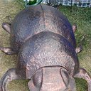 ���� ����, �������� ������ - ��������� 26 ������� 2010 � ������ ���������� 2010�
