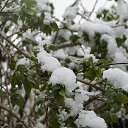 11 ��� 2013 �������, ����� ������.... �� ������� ���� ����������