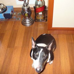 ����� � ��������) � ����������� � ���� � �... � ���� - ������ ������)