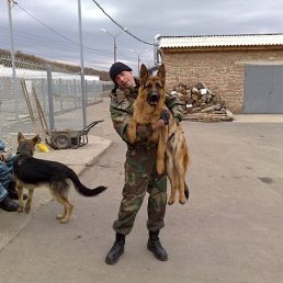 ���� �������, ����������, 41 ��� - ��������� 21 ������� 2012