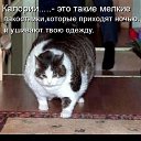 ���� ������, ��������������, 49 ��� - ��������� 13 ������� 2010 � ������ �������