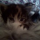 ����� ����� �� ������� ���� �����