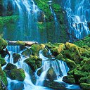 ���� Donish, ������, 47 ��� - ��������� 20 ����� 2012 � ������ ���� ����������