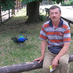 Pavels Mileika, 64, 