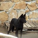 ���� Neznakomez, ������, 64 ���� - ��������� 14 �������� 2012