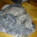 ���� Svetlanas, ���������, 47 ��� - ��������� 7 ���� 2010 � ������ ���� �������