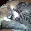 ����� � ����� �� ������� ���� �����