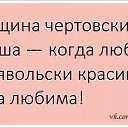 ���� ����������, ������� - ��������� 13 ������ 2013