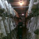 ���� �������, ����������, 51 ��� - ��������� 3 ������� 2011 � ������ ���� ����������