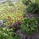 ���� �������, ������, 71 ��� - ��������� 26 ������� 2011 � ������ �����������.������