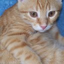 ����� ����... �� ������� ���� �������� � ������ �����...�